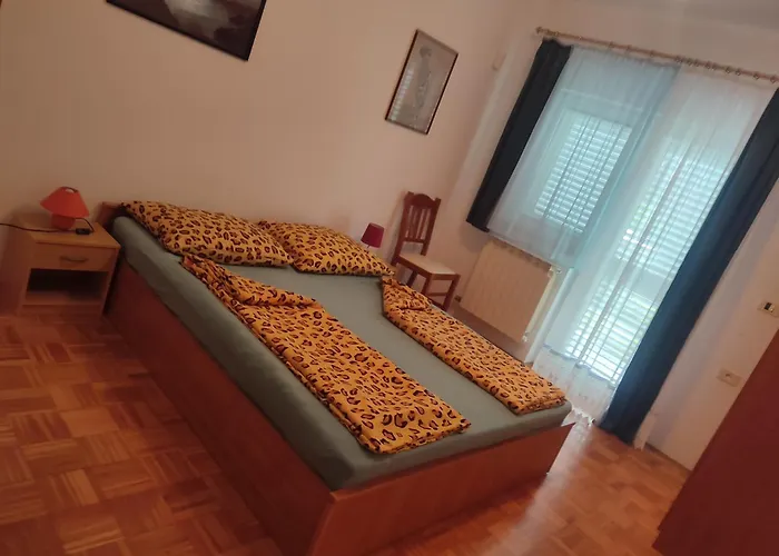 Apartmaji Jelena 公寓 *