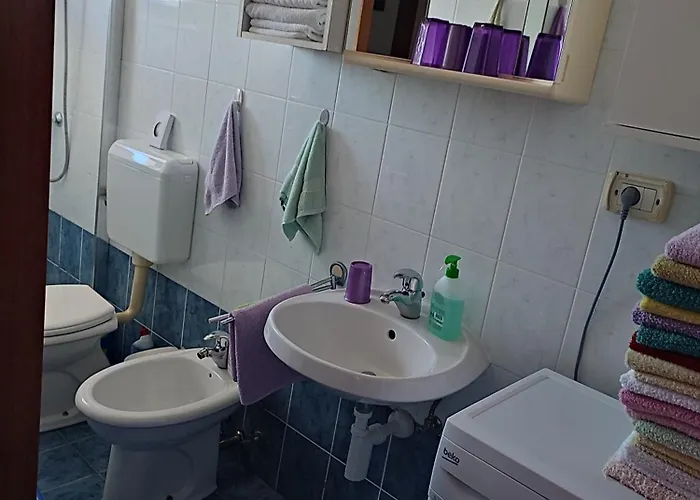 Apartmaji Jelena 公寓 *